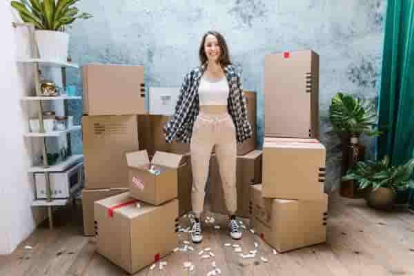 Packing and Moving Services Noida to Chittor