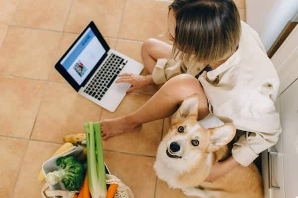 Gurgaon To Varanasi Pet Relocation Services